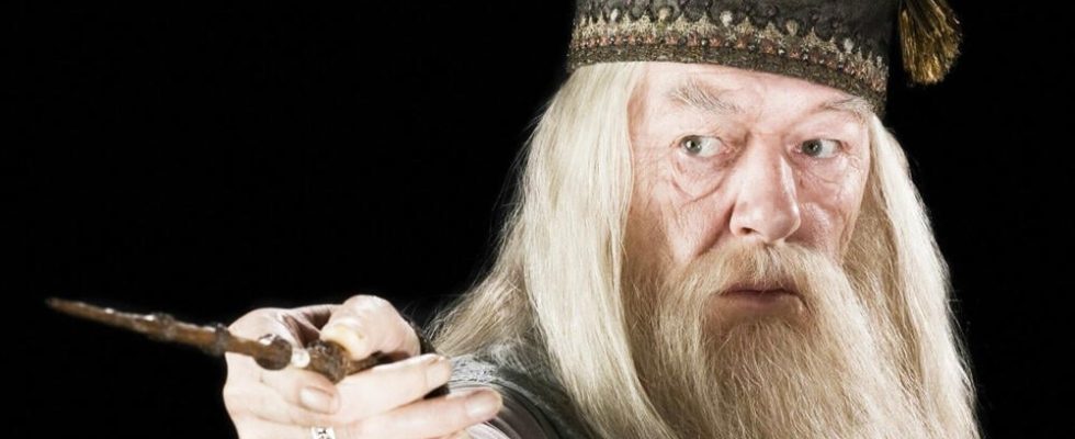Harry Potter fans recreate heartbreaking Dumbledore scene to honor late