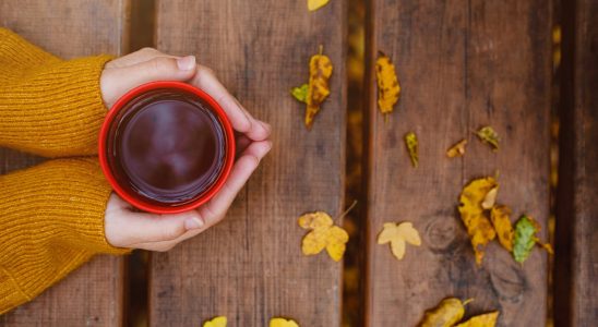 Here is the ideal drink in autumn according to our