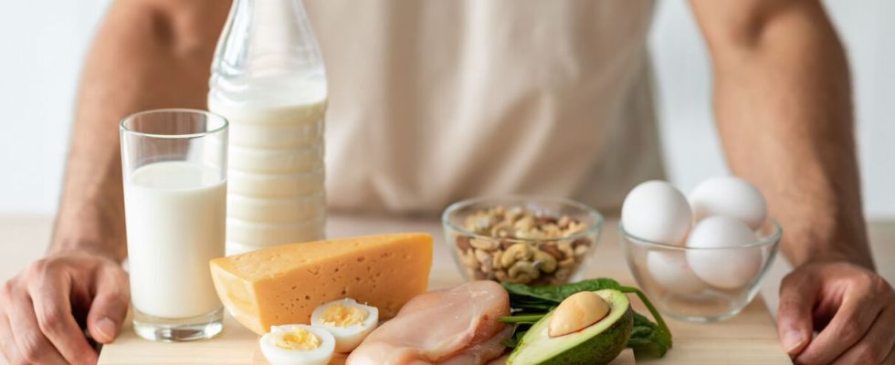 Heres what to eat per day to meet your protein