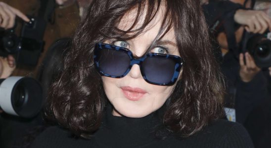 Isabelle Adjani tried for tax fraud 18 months suspended prison