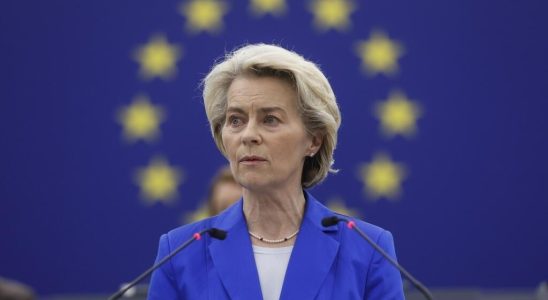 Israel Gaza War criticized in the European Parliament Ursula von der