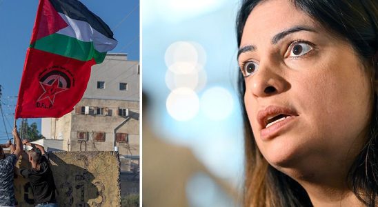 Left party in aid project linked to Palestinian party that