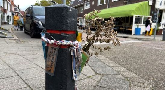 Local residents of Vleutenseweg disappointed in Utrecht action plan My