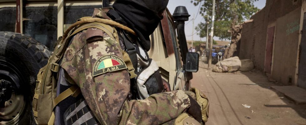Mali the army column advances slowly in the Gao region