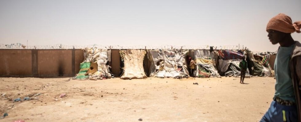 Migrants stuck in Niger seek help from Senegalese authorities