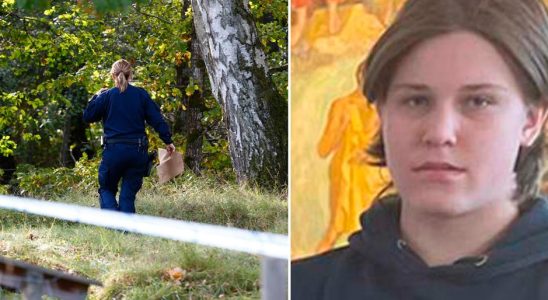 Missing Henrik in Alingsas Suspected murder