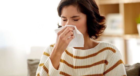 National Allergy Day what are the 6 main respiratory allergies