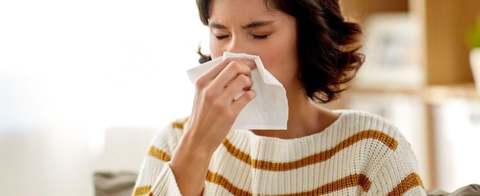 National Allergy Day what are the 6 main respiratory allergies