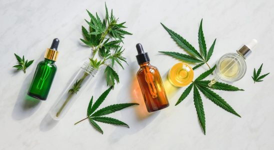 One in 10 French people say they have consumed CBD