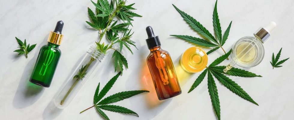One in 10 French people say they have consumed CBD
