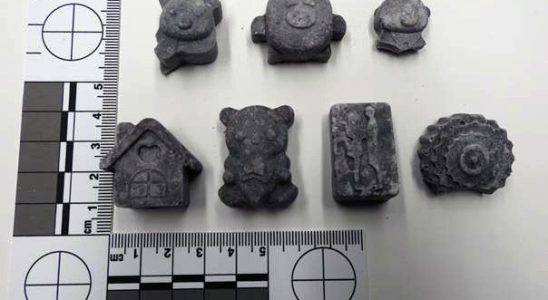 Prison for second Sarnia drug dealer in mysterious cartoon shaped fentanyl