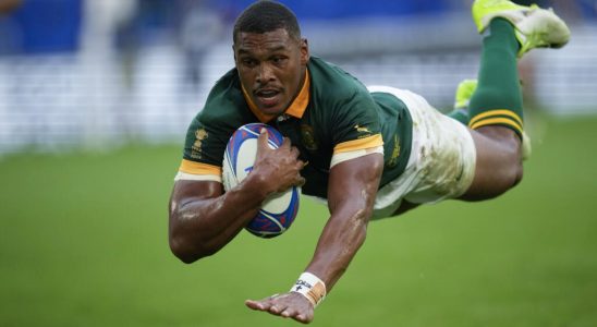 Rugby the South African Springboks in search of a new