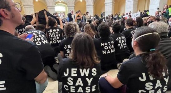 Sit in protest by US Jews in Congress for a ceasefire