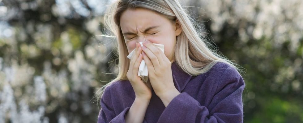 Soon a new vaccine against pollen allergies