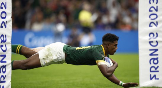 South Africa The transformation of rugby is very well underway