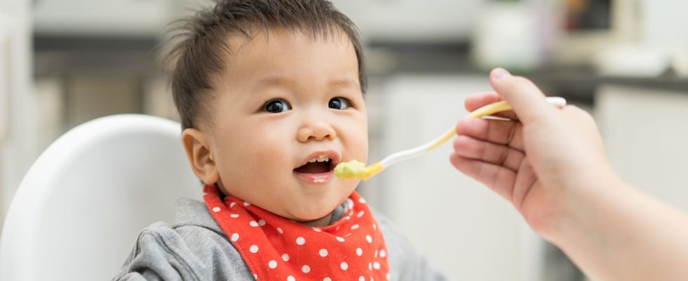 Sugar additives… The new alert on baby food – LExpress