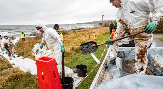 The Home Guard assists in oil cleanup