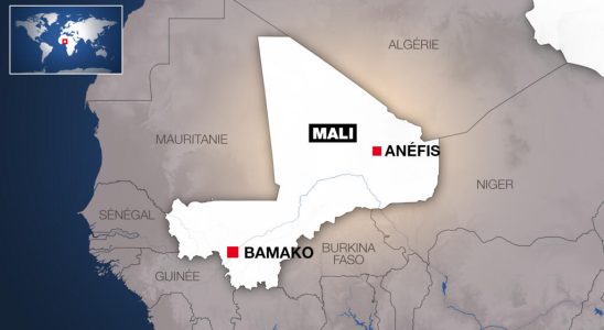 The Malian army controls the town of Anefis after the