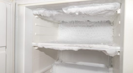 The best solutions for defrosting a refrigerator and freezer