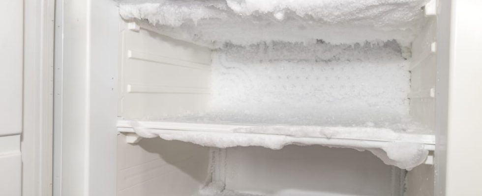 The best solutions for defrosting a refrigerator and freezer