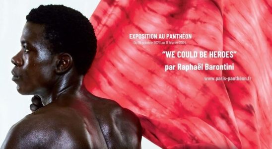 The exhibition We could be heroes by Raphael Barontini