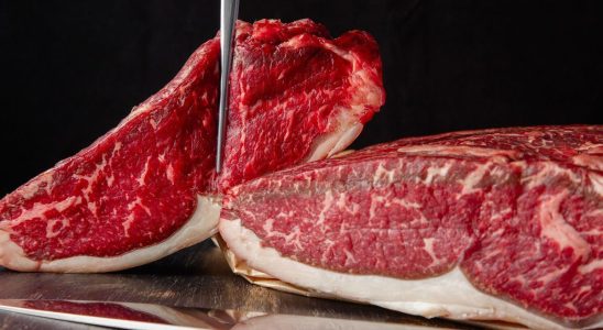 The very first in vitro meat butchery will open in Canada