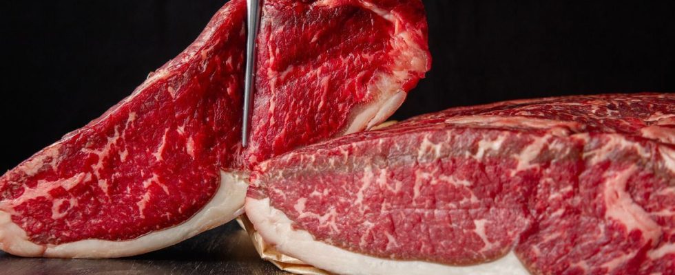 The very first in vitro meat butchery will open in Canada