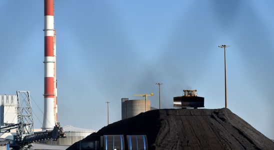 Thermal power plants will biomass save coal workers