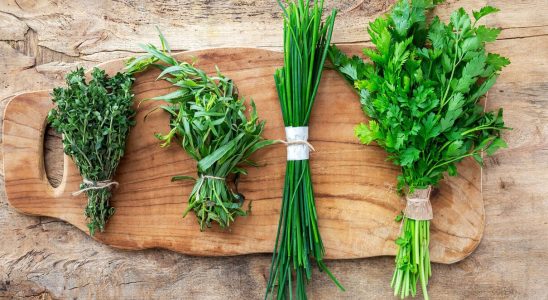 This refreshing herb is one you should put on your