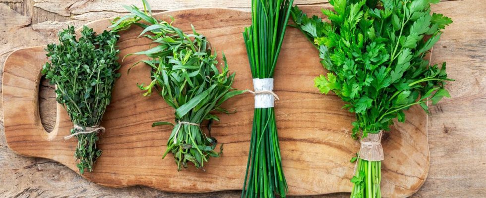 This refreshing herb is one you should put on your