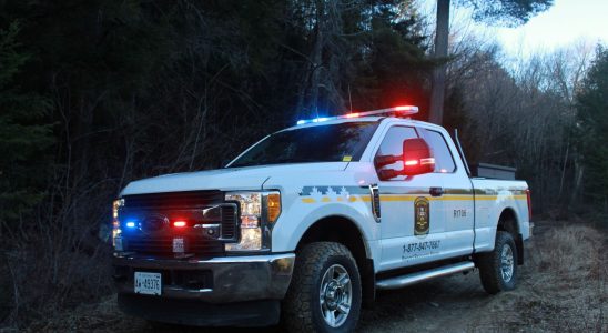 Two hunters convicted of hunting at night in Brant County