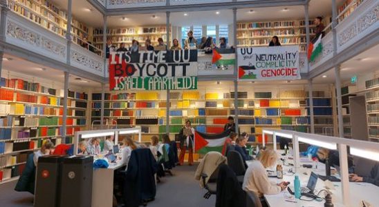 Utrecht students hold pro Palestine protest in University Library