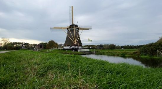 Utrechts Landschap will make stationary windmills run again