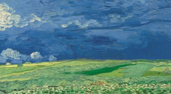Van Gogh in Auvers sur Oise the last months the twilight of