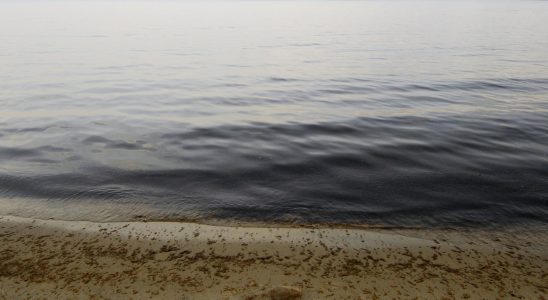 Want to vacuum the Baltic Sea for metals