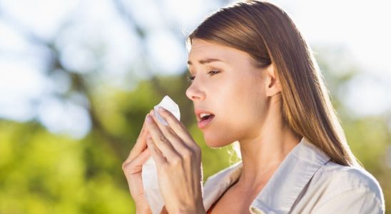 What are the most common symptoms of pollen allergies