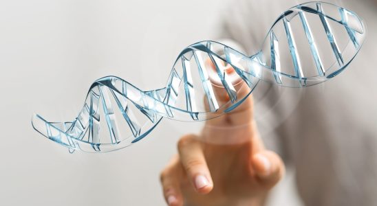 What is a genetic fingerprint