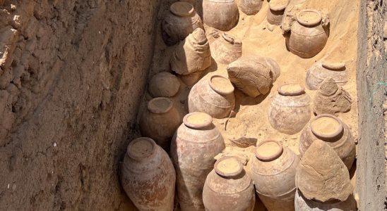 Wine find in 5000 year old queens tomb