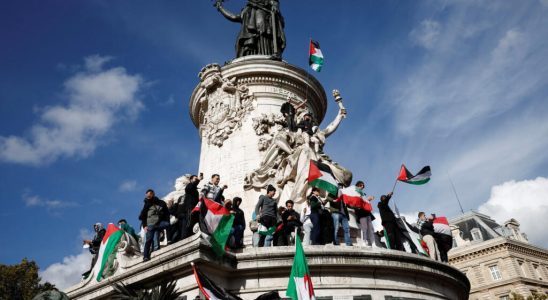a pro Palestinian rally in Paris to say stop the massacre