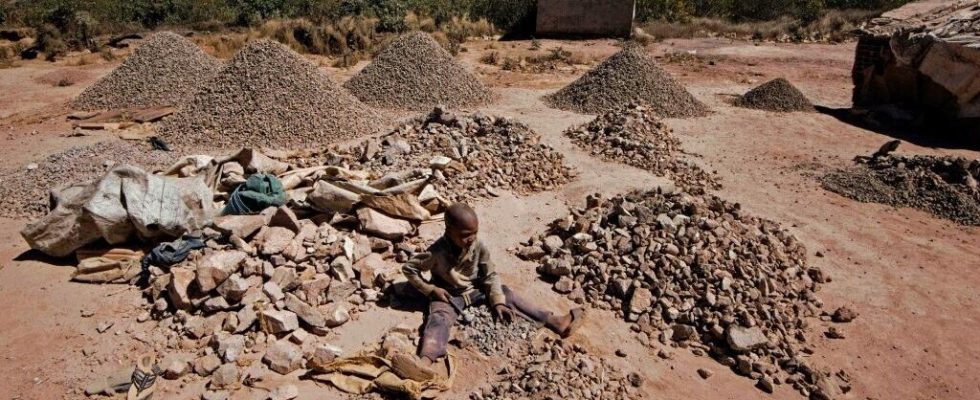 an NGO denounces mining activities deemed dangerous