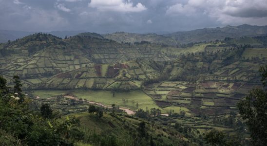 fighting between the M23 and Wazalendo militias reported in Masisi