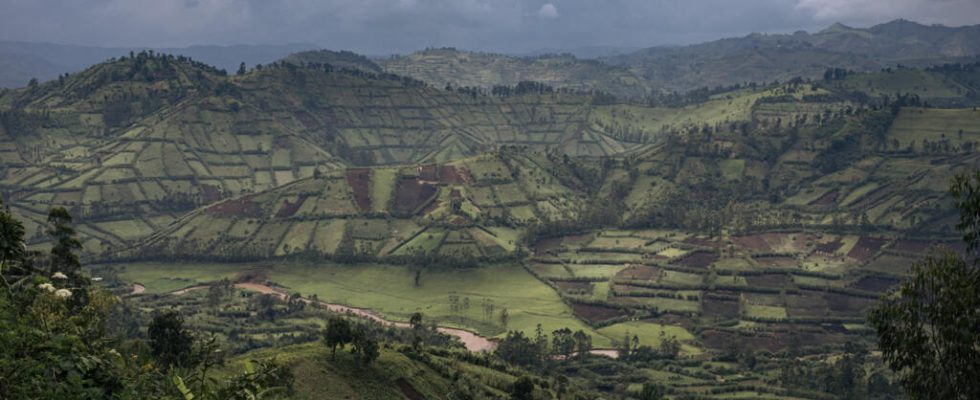 fighting between the M23 and Wazalendo militias reported in Masisi