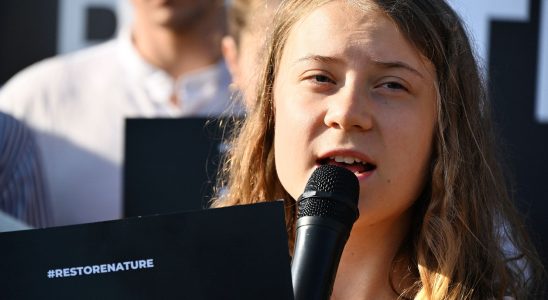 in Germany Greta Thunbergs movement in turmoil – LExpress