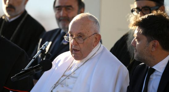 pope defends pastoral charity rather than ideology