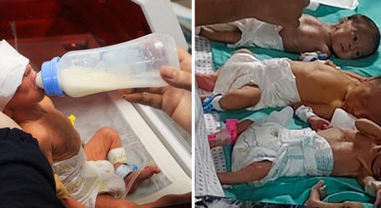 31 babies evacuated from al Shifa hospital