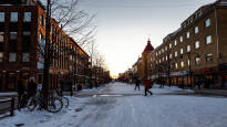 A Swedish city invented a simple way to eradicate loneliness