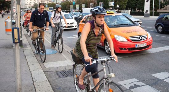 A study highlights the difficult coexistence between different road users