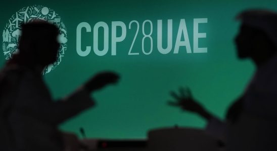 At COP28 oil lobbies too powerful Challenges for climate protection
