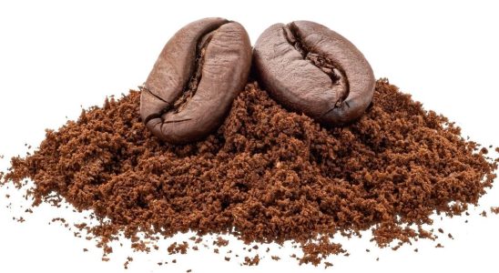 Be careful this coffee sold by Leclerc is contaminated by