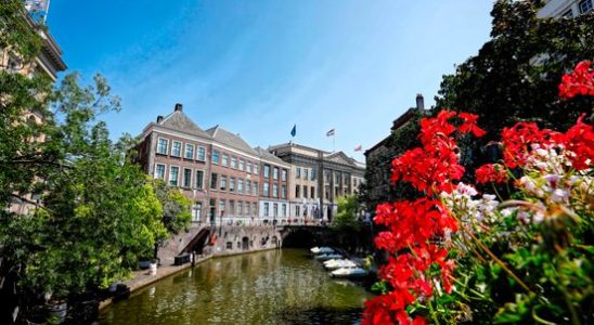 Budget Utrecht about cut flowers fungal nails and 2 billion